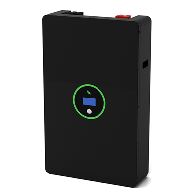 48 V Haushalt Lithium -Batteriekasten