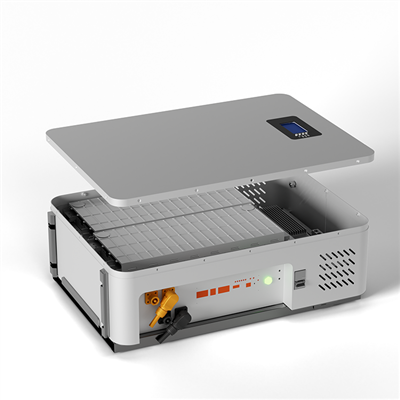 51.2V LifePO4 leerer Batteriebox