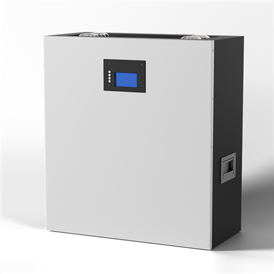 51,2 V LifePO4 Lithium Batterie Box